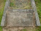 image of grave number 683780